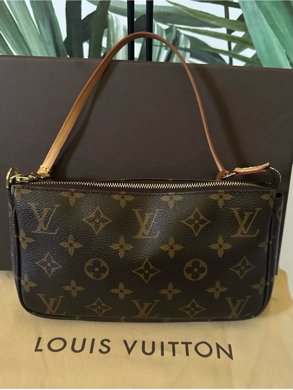 Louis Vuitton Monogram Pochette Accessoires  Bag